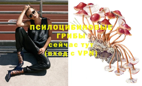 mdpv Абинск