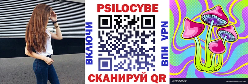 блэк спрут как зайти  Шарыпово  Псилоцибиновые грибы мухоморы 