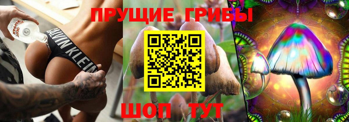 Галлюциногенные грибы прущие грибы Шарыпово