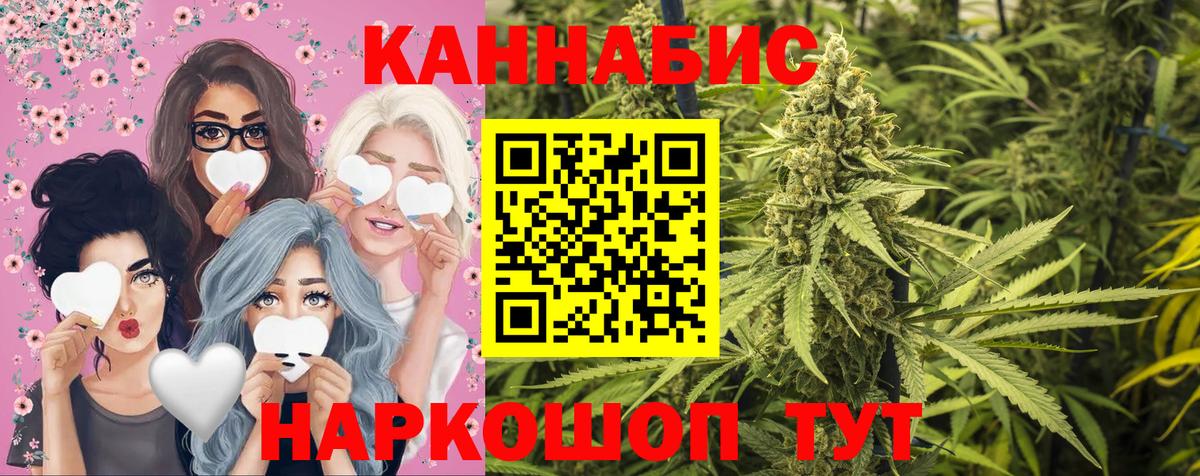 Канабис сатива Шарыпово